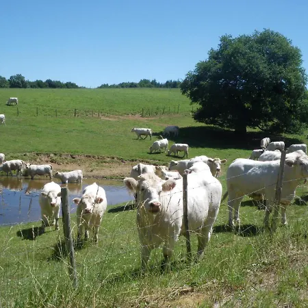 La Metairie Du Pont 4* Sainte-Hermine