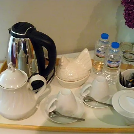 La Metairie Du Pont Bed & Breakfast Sainte-Hermine